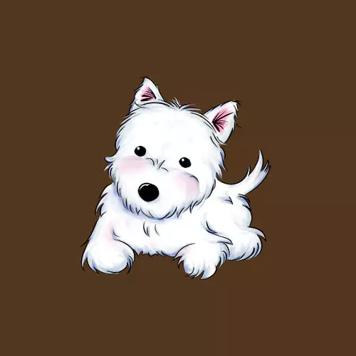 Web Development Company in the UK